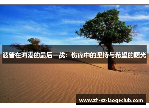 波普在海港的最后一战：伤痛中的坚持与希望的曙光