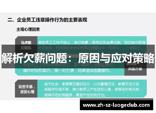 解析欠薪问题：原因与应对策略