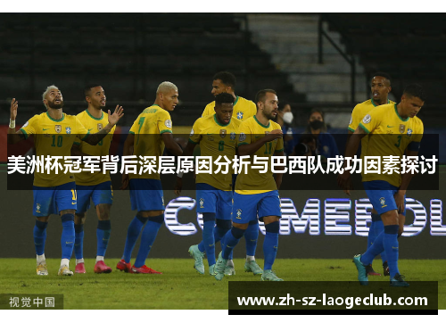 美洲杯冠军背后深层原因分析与巴西队成功因素探讨