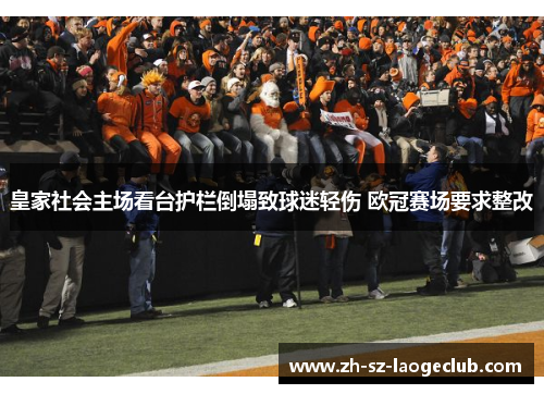 皇家社会主场看台护栏倒塌致球迷轻伤 欧冠赛场要求整改