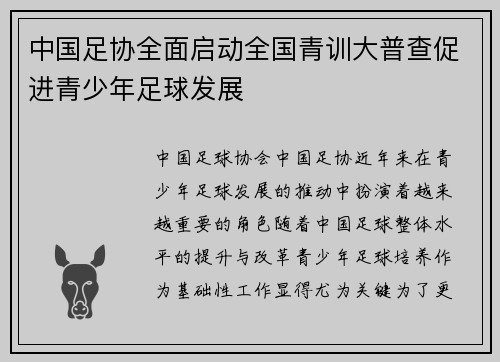 中国足协全面启动全国青训大普查促进青少年足球发展 中国足协全面启动全国青训大普查促进青少年足球发展